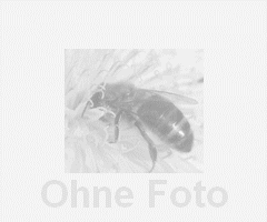Neue EWK, Schutzkästen und EWK- Versandkisten
